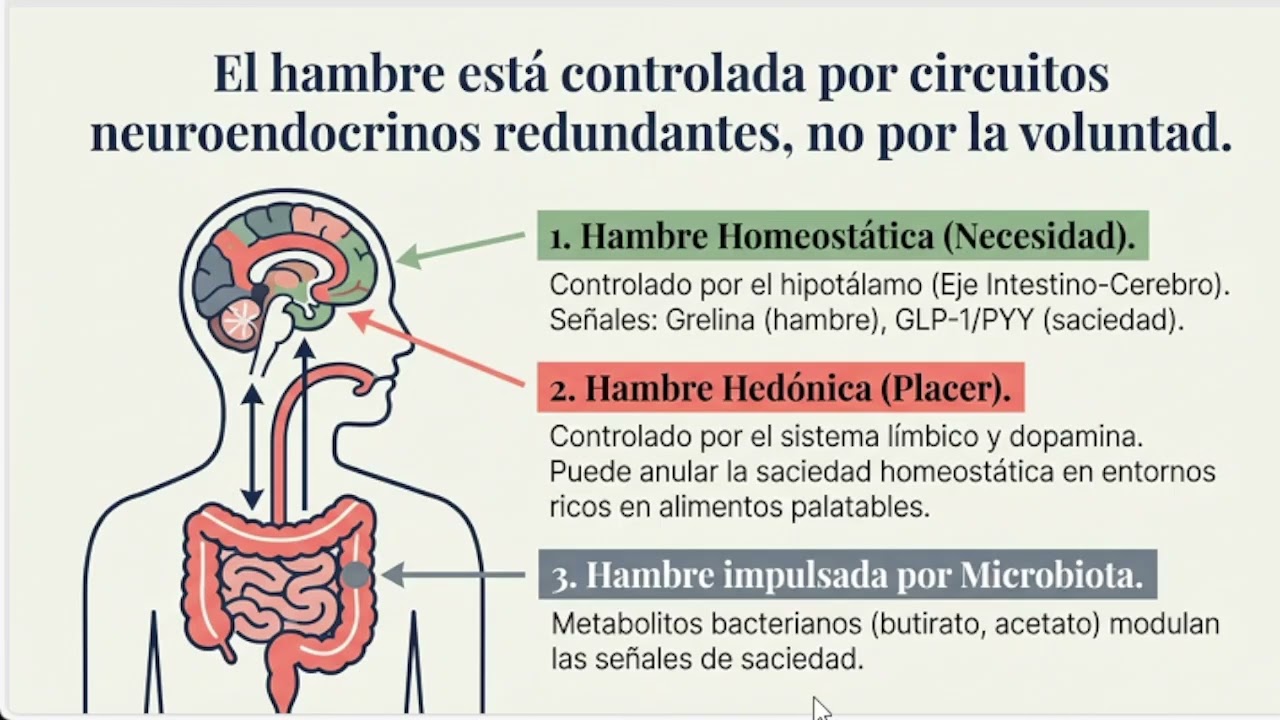 ¿Por qué la Obesidad es una Enfermedad?