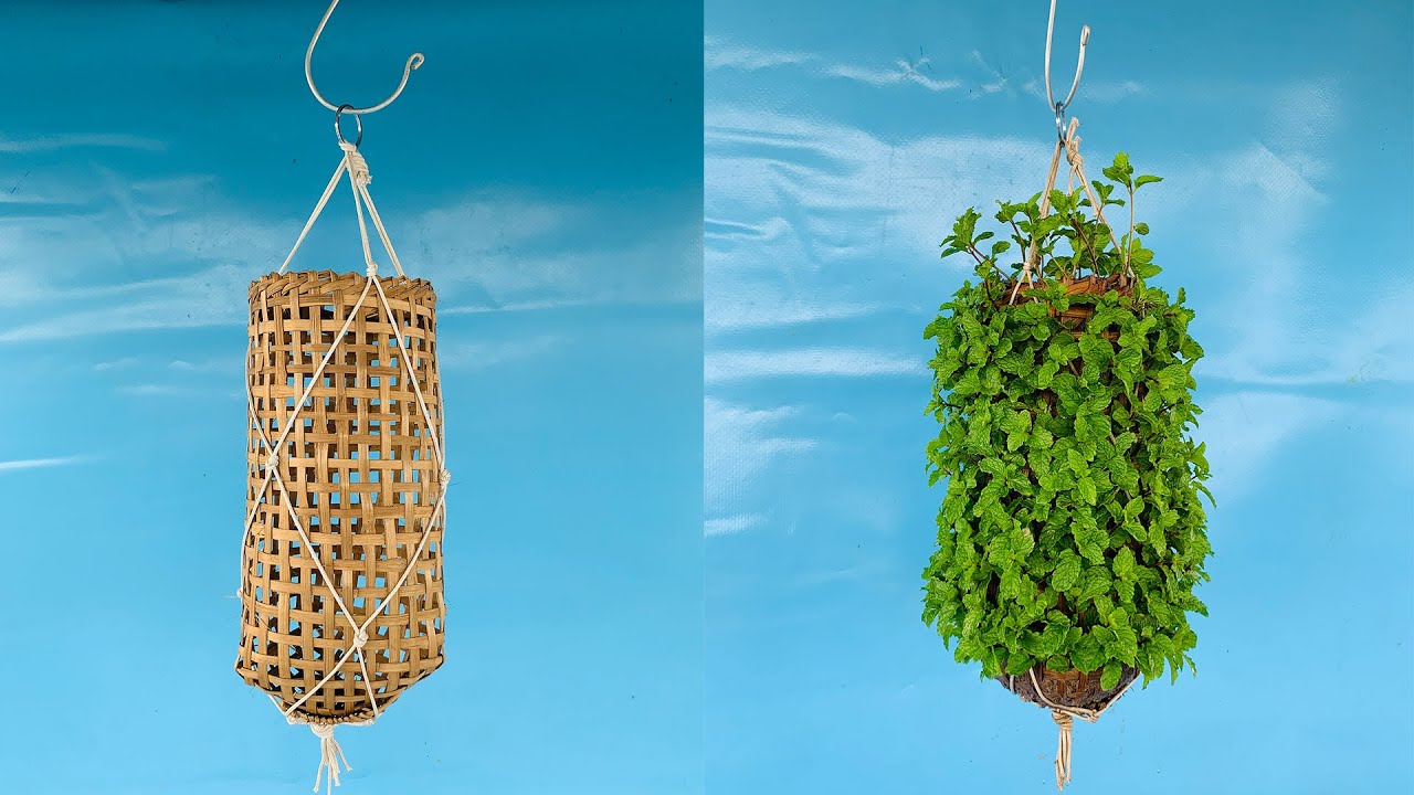 Tips for growing mint