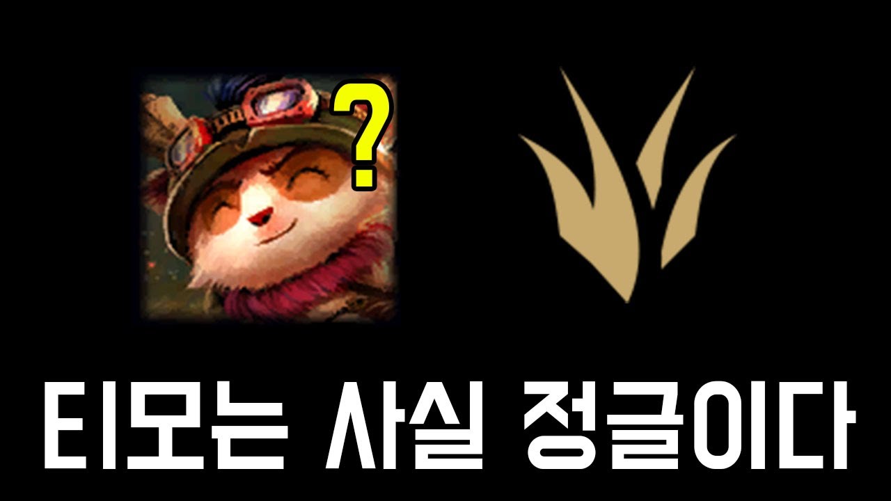 티모 정글