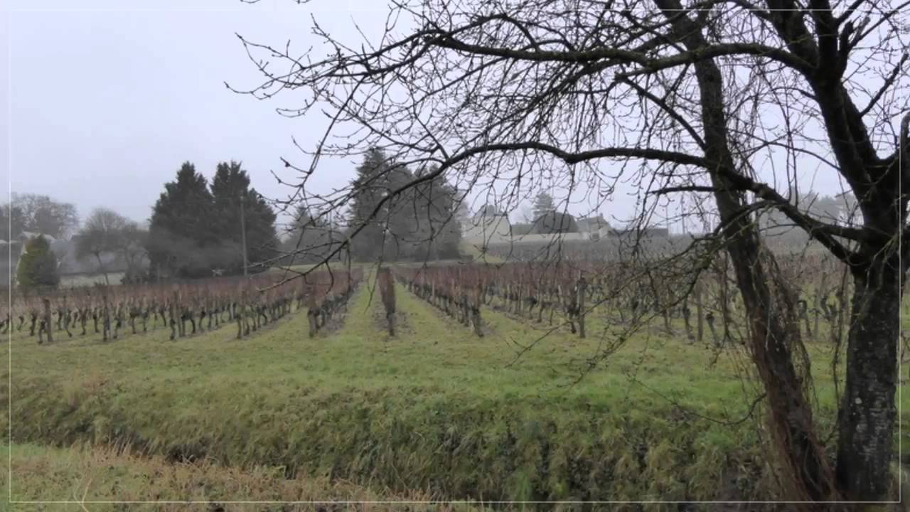 A vendre - Terrain - Ingrandes de Touraine (37140)