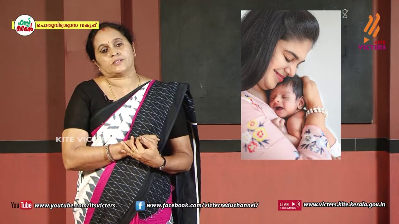 KITE VICTERS STD 08 English Class 41 (First Bell-ഫസ്റ്റ് ബെല്‍)