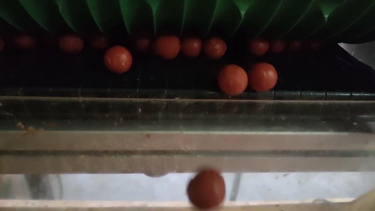 Professional System Rollycarp