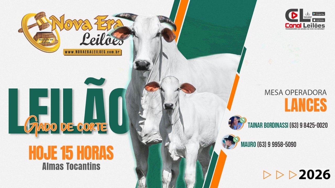 Canalleiloes.com | 🔝LEILÃO GADO DE CORTE NOVA ERA LEILÕES🔸🔸