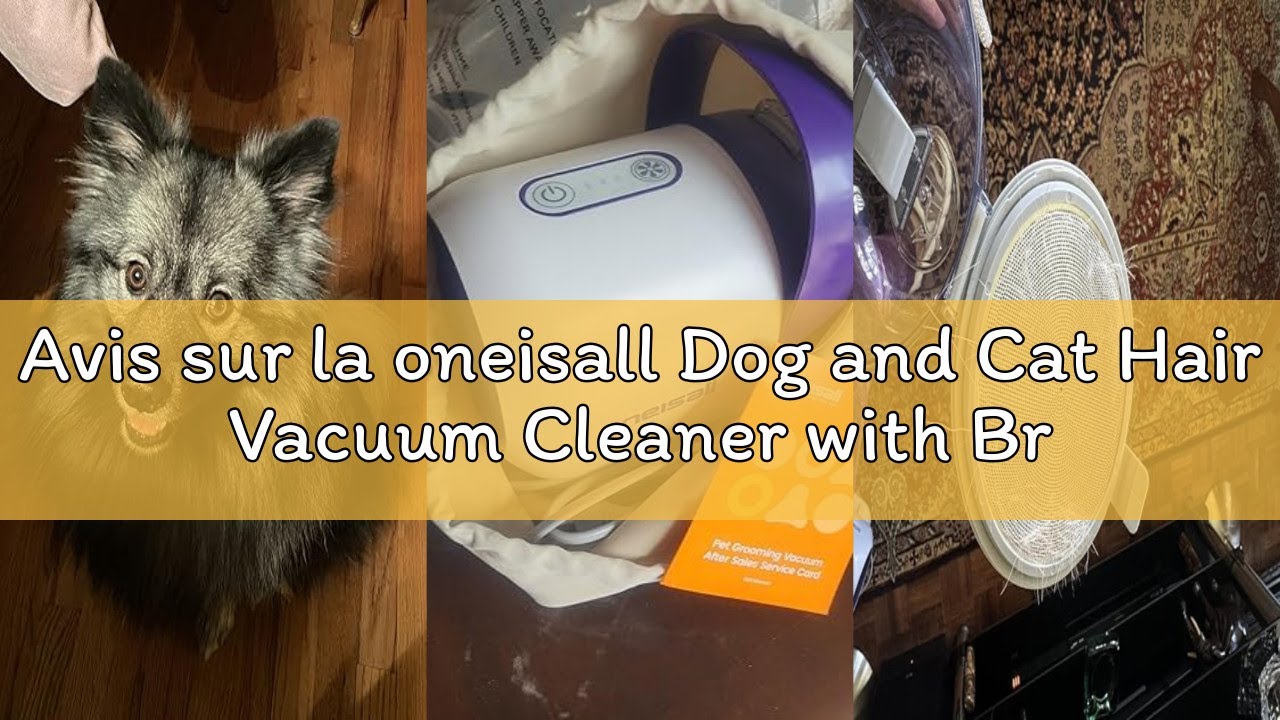 Avis sur la oneisall Dog and Cat Hair Vacuum Cleaner with Brush, 12000Pa Suction Power, Removes 99.9