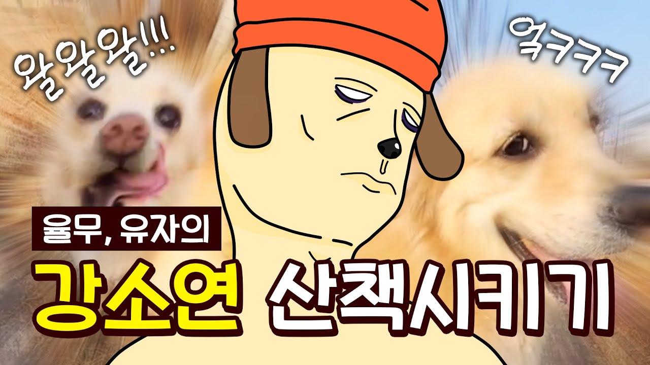 바뀌어버린 주인과 강아지의 역할