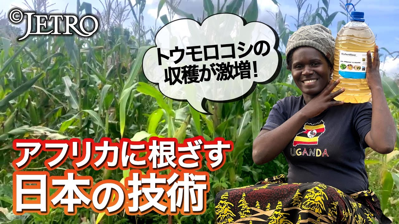 【拡大するビジネスチャンス！】巨大市場 アフリカに挑む日本企業