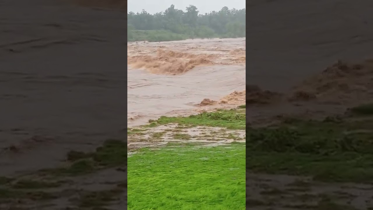 Gujarat flood 2022 valsad valsad dist