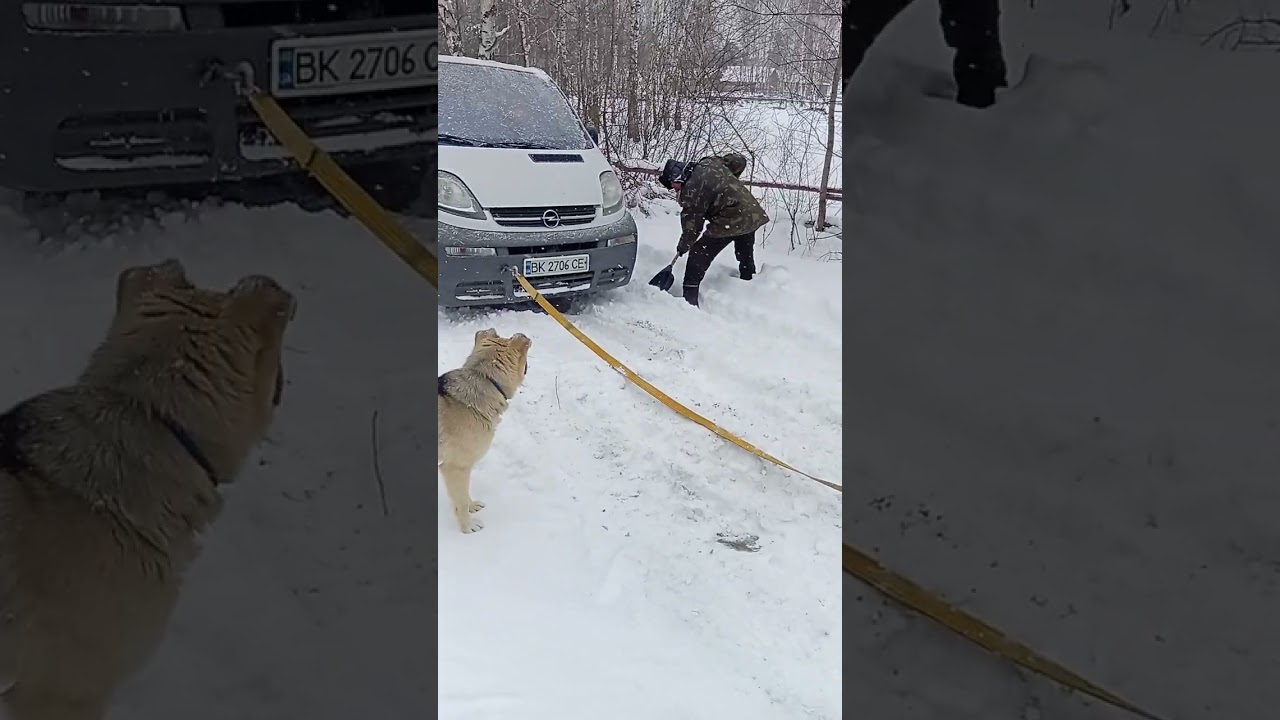 Тягнем бус на ремонт дон фен 254