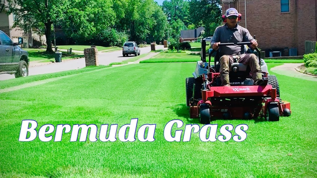 Mowing Bermuda Lawn | RAW FOOTAGE