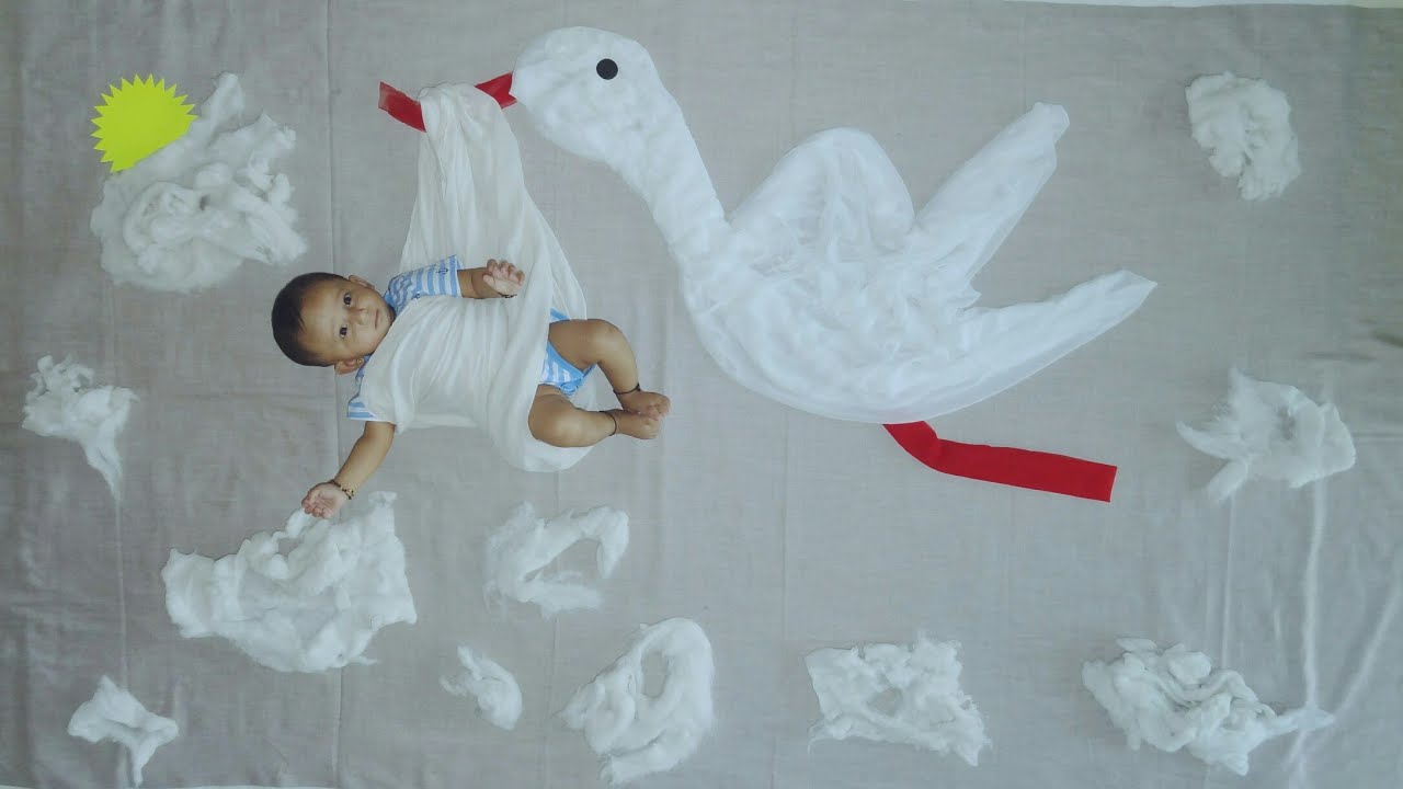 Flying Bird Theme Baby Photoshoot Ideas at Home |