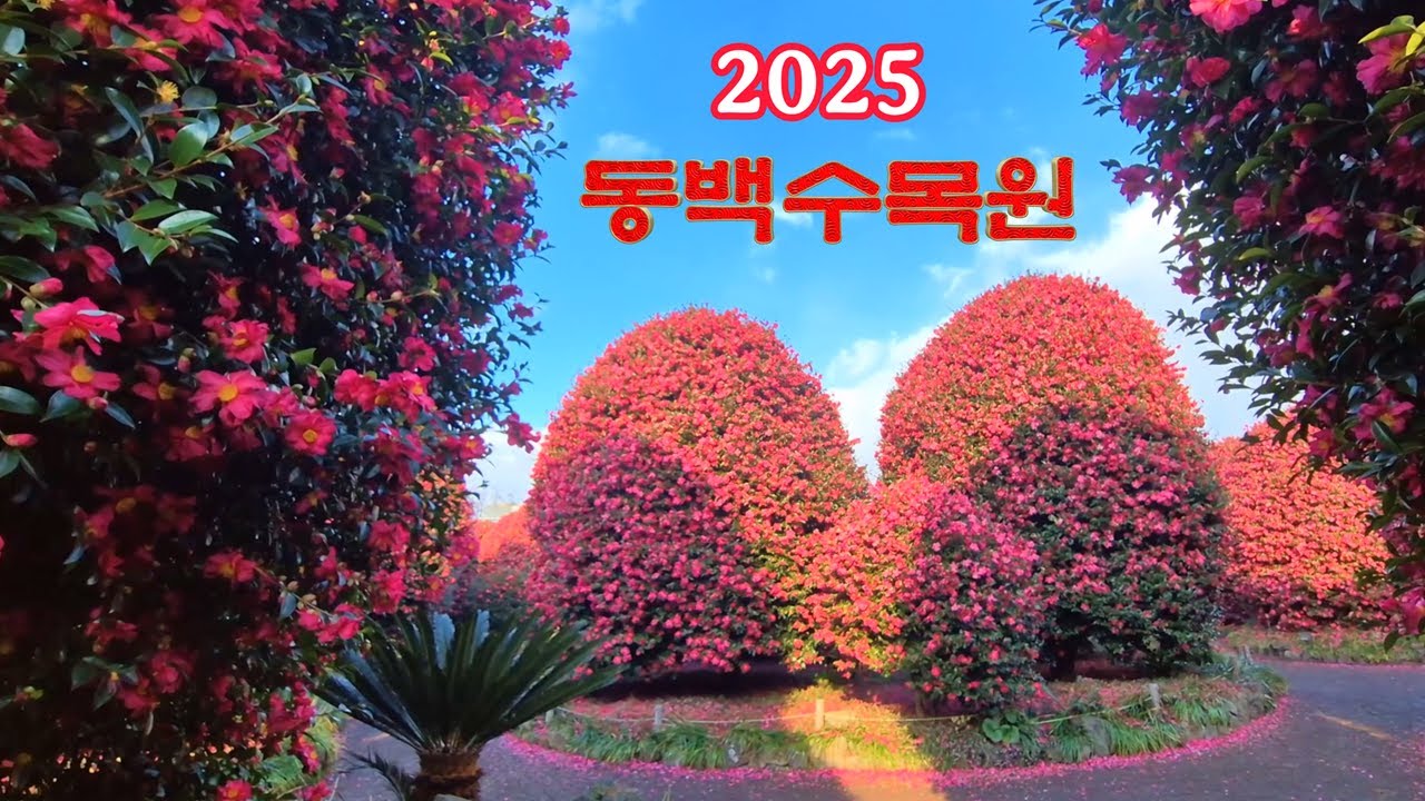 2025년 1월의 동백수목원
