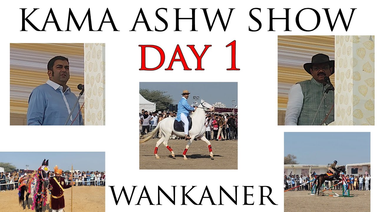 Kama Ashw Show Wankaner Day-1🐴| Ashw Show Wankaner | Rushi Trivedi Vlogs