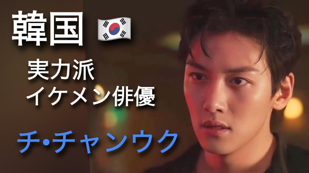 【韓国 実力派 イケメン俳優 チチャンウクのファンによるオリジナル説明書 】