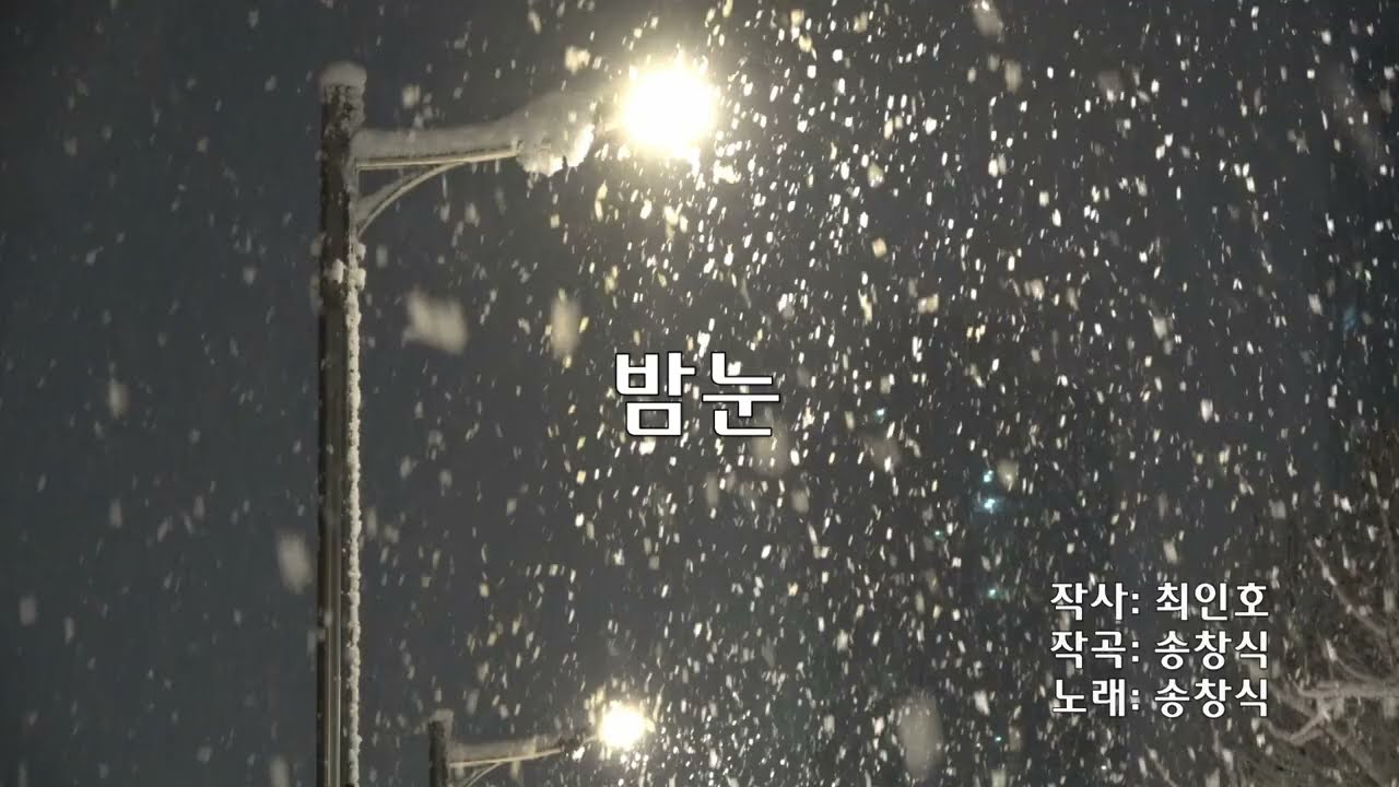 송창식 - 밤눈