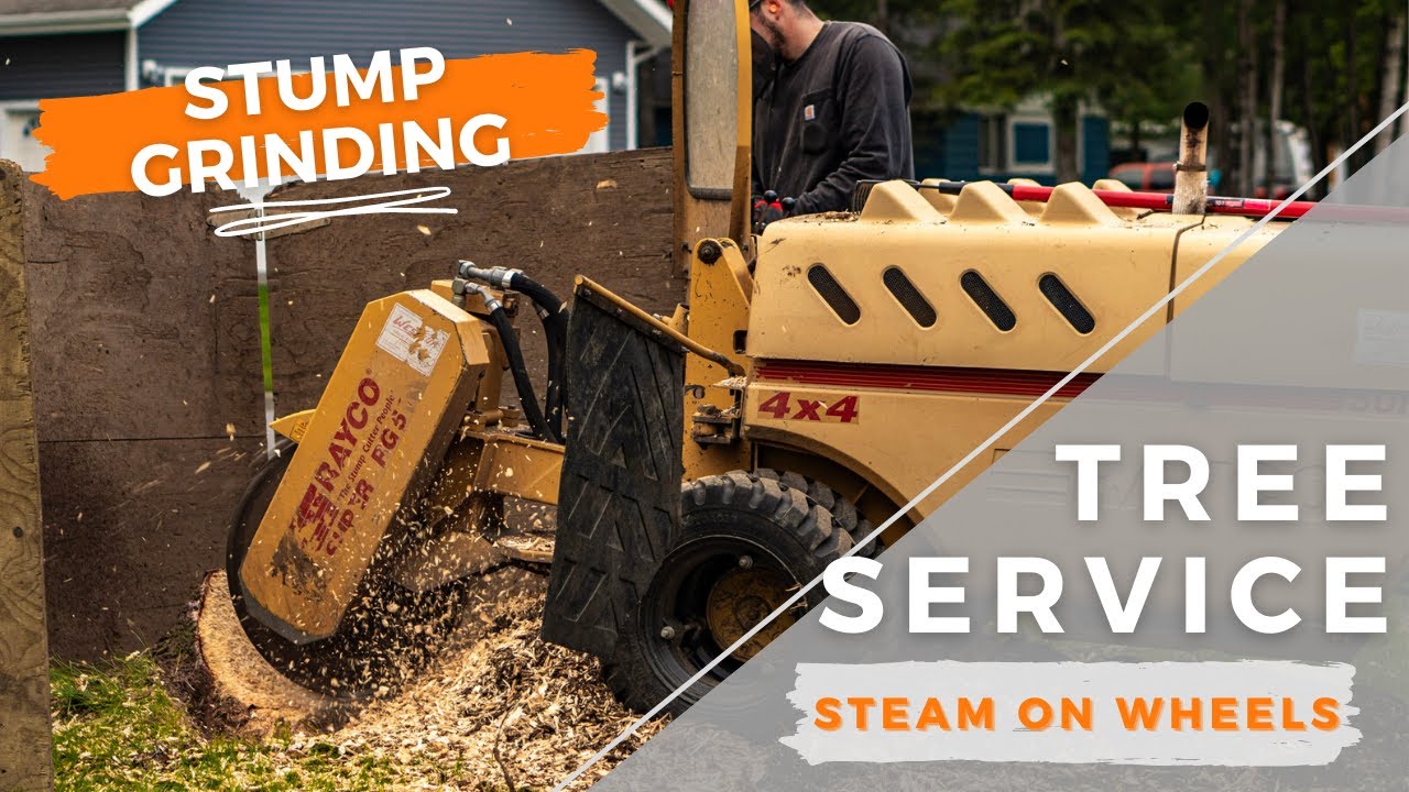 Tree Service - Stump Grinding