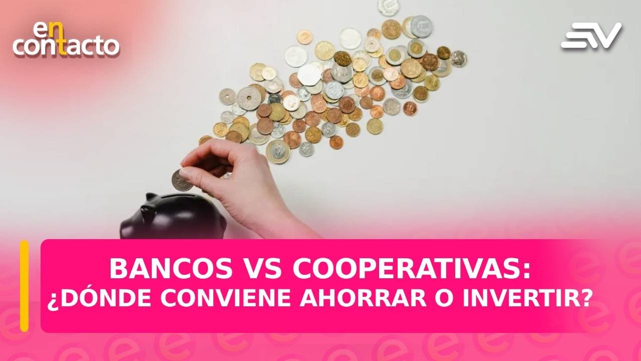 Bancos vs cooperativas: ¿dónde conviene ahorrar o invertir? | En Contacto | Ecuavisa
