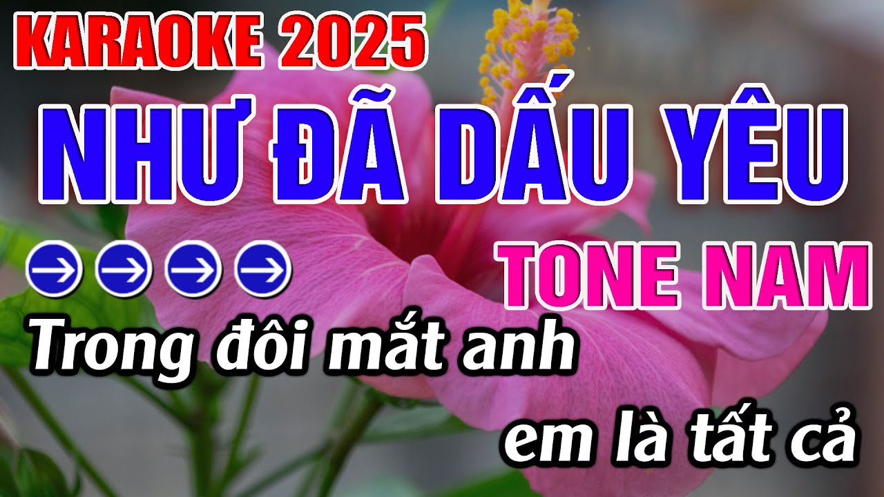 Như Đã Dấu Yêu Karaoke Tone Nam Karaoke Đăng Khôi - Beat Mới