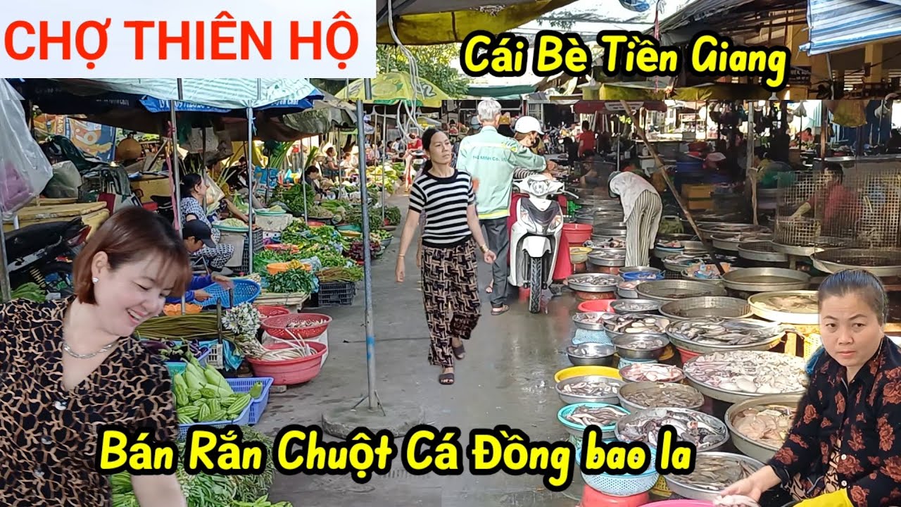 Quá nhiều Rắn, Chuột , Cá Đồng - Chợ Thiên Hộ - Cái Bè Tiền Giang toàn là đặc sãn thiên nhiên 