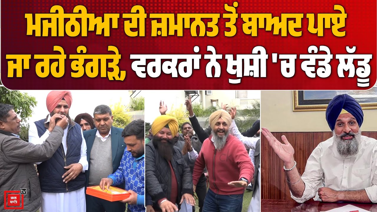 ਮਜੀਠੀਆ ਦੀ ਜ਼ਮਾਨਤ ਤੋਂ ਬਾਅਦ ਪਾਏ ਜਾ ਰਹੇ ਭੰਗੜੇ, ਵਰਕਰਾਂ ਨੇ ਖੁਸ਼ੀ 'ਚ ਵੰਡੇ ਲੱਡੂ, ਸੁਣੋ ਇਸ ਮੌਕੇ ਕੀ ਬੋਲੇ ਲੋਕ!