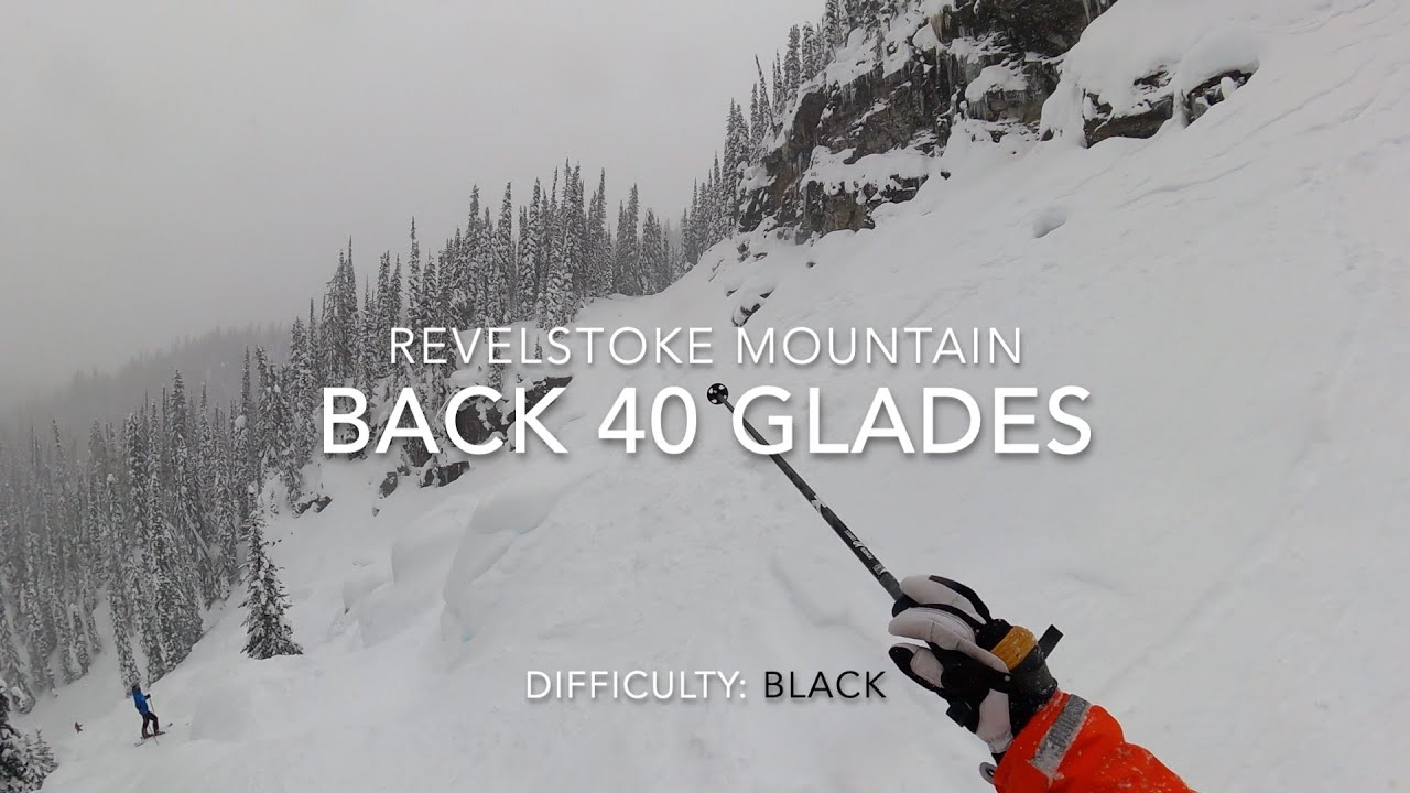 Revelstoke Mountain Resort: Back 40 Glades