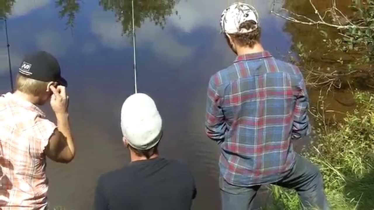 No Luck - Timmy Cudmore the 