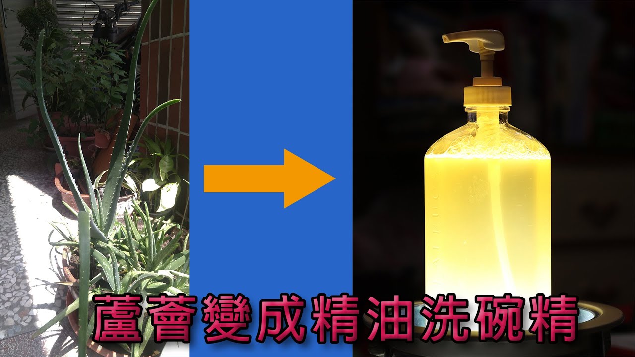 蘆薈橘油洗碗精 零失敗製作配方