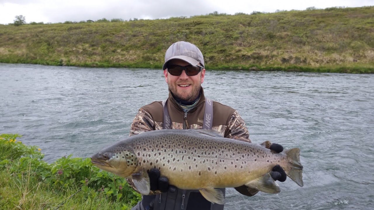Fly Fishing for BIG Brown Trout in Iceland part 3/3 Icelandic Elements Private Tours