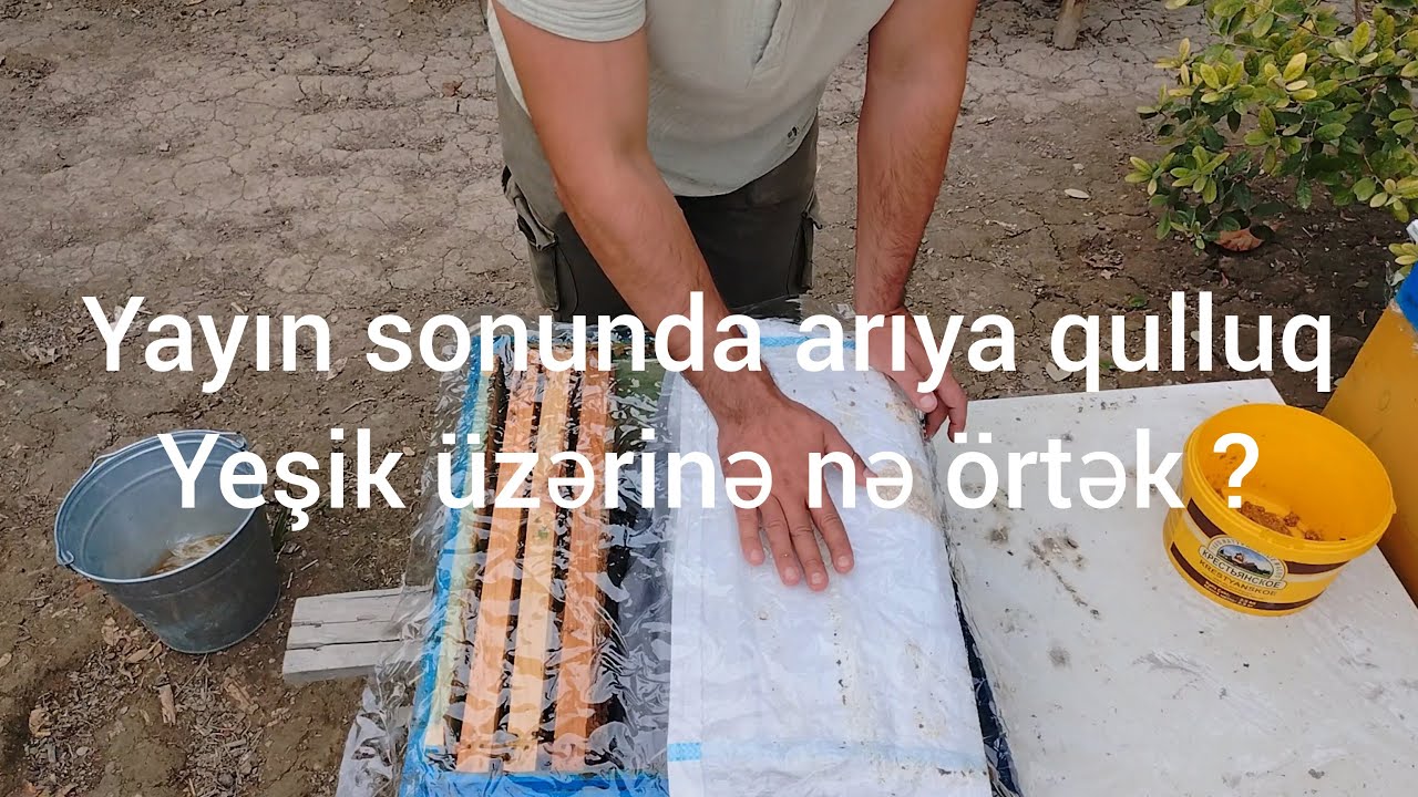 Arılara payız qulluğu . bəsləmə və sıxlaşdırma