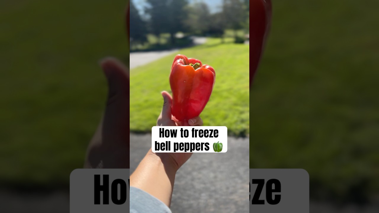 This is how I preserve all my bell peppers 🫑 #growyourownfood #gardening #foodpreservation #peppers