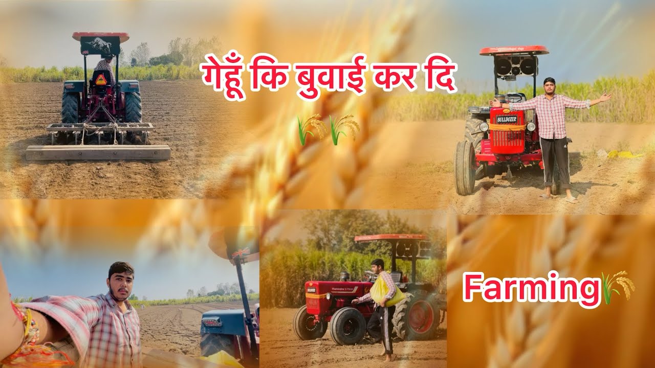 Finally गेहूँ कि बूवाई कर दि🌾✅