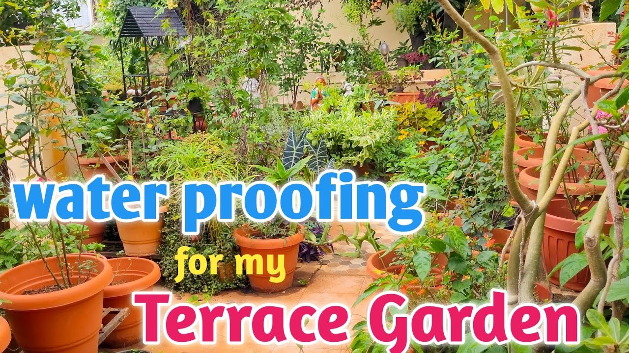 terrace water proofing | terrace flooring | roof water proofing procedure dr fixit #waterproofing