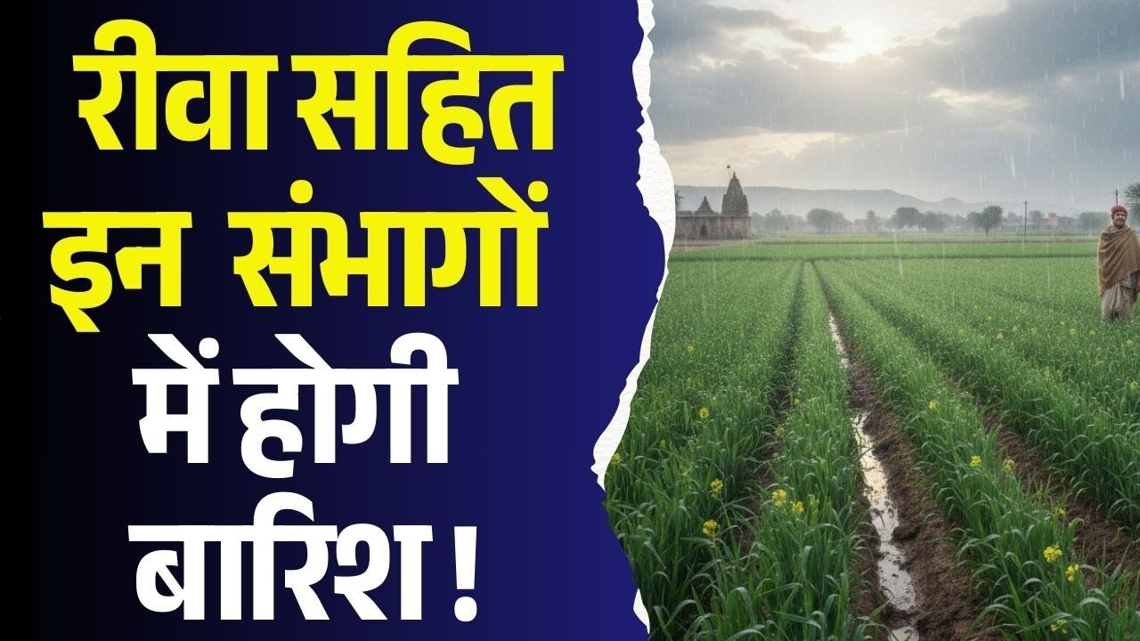 वरदान बनेगा मौसम का बदलाव!रीवा सहित इन  संभागों में हल्की बारिश की संभावना