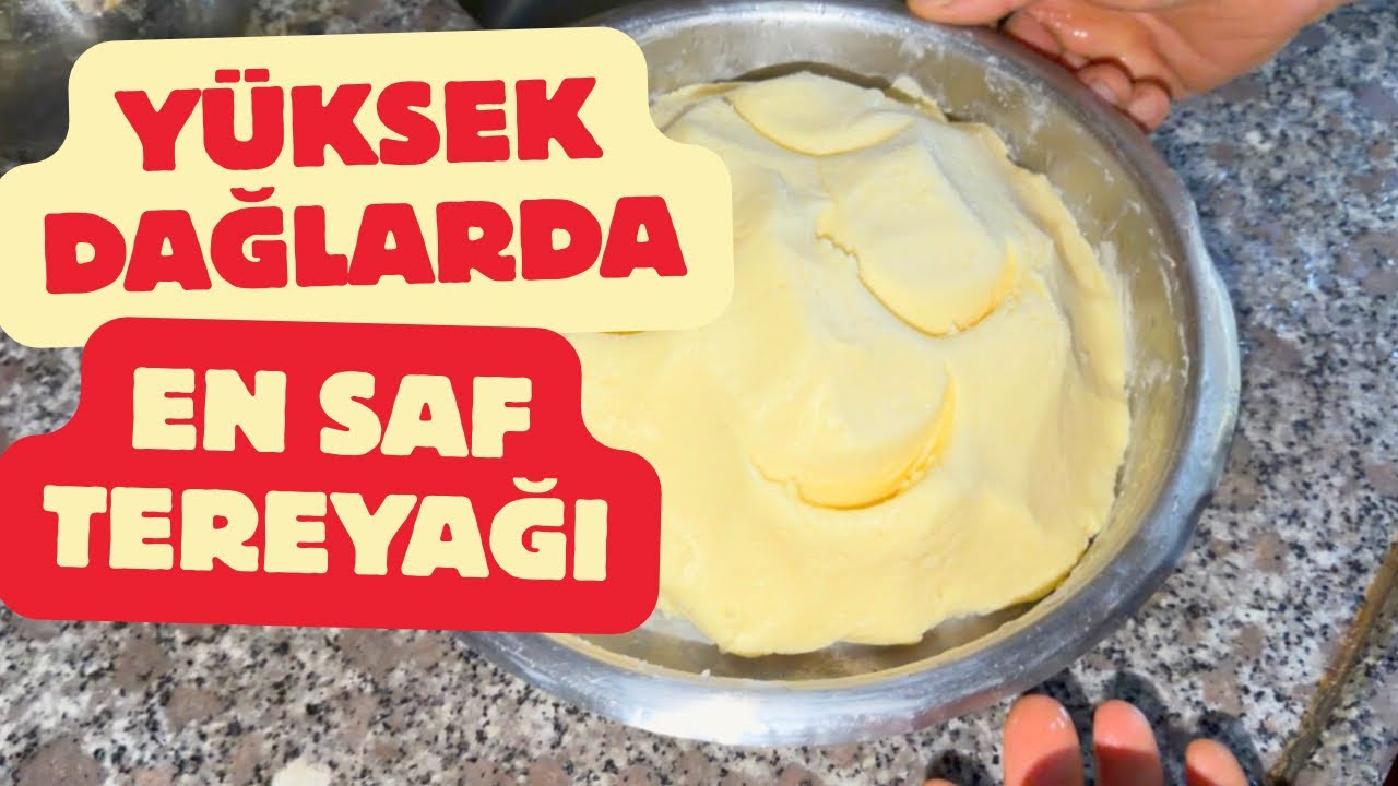 Yüksek dağlarda saf tereyağı nasıl yapılıyor #tereyağı #yayla #karadeniz #trabzon #butter #doğal 