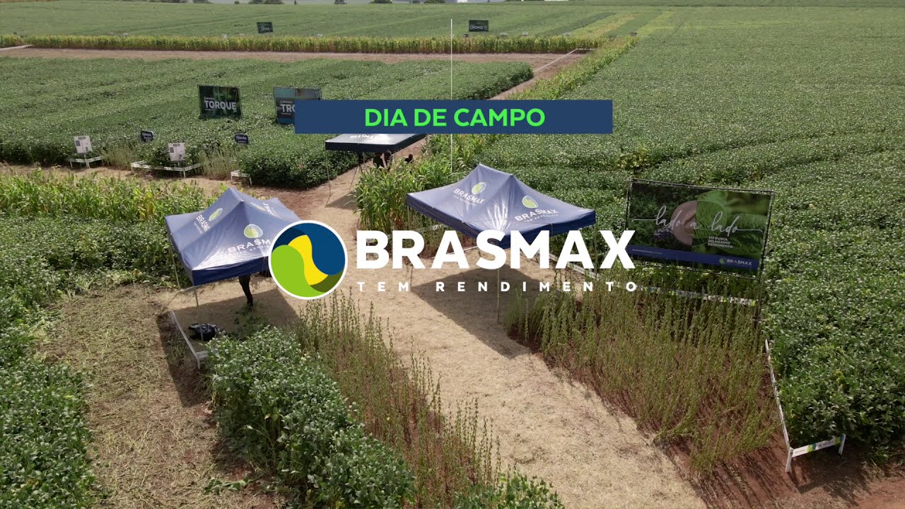 Dia de Campo Brasmax | M1 | RS; SC; PR
