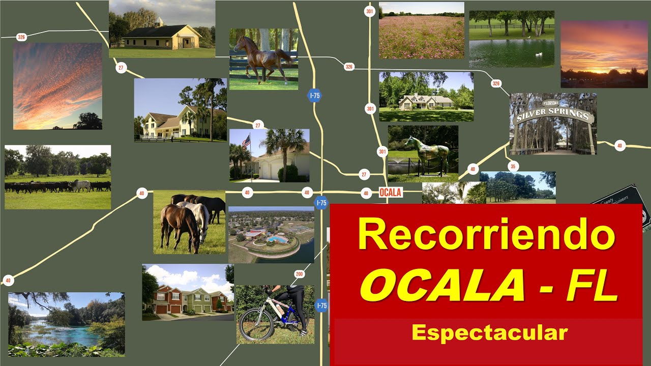 ¿Cómo es vivir en Ocala Florida? Descúbrelo aquí