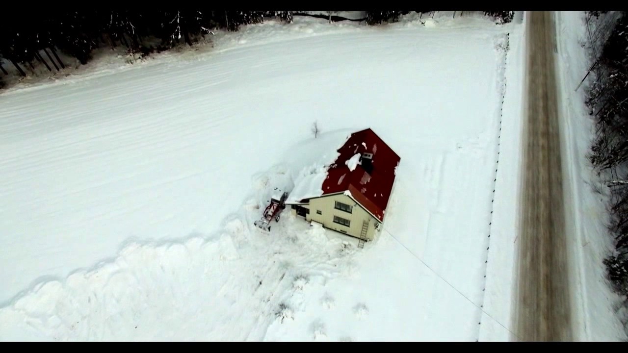 Nes i &aring;dal