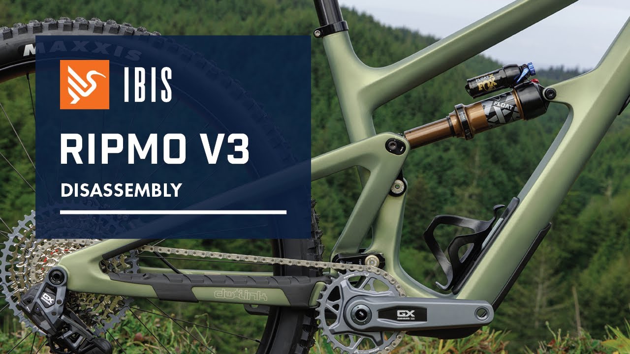 Ripmo V3 Disassembly