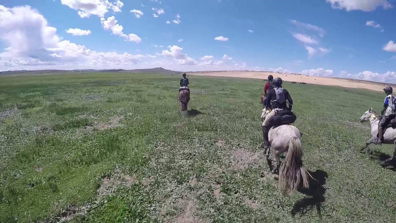 Mongol Derby