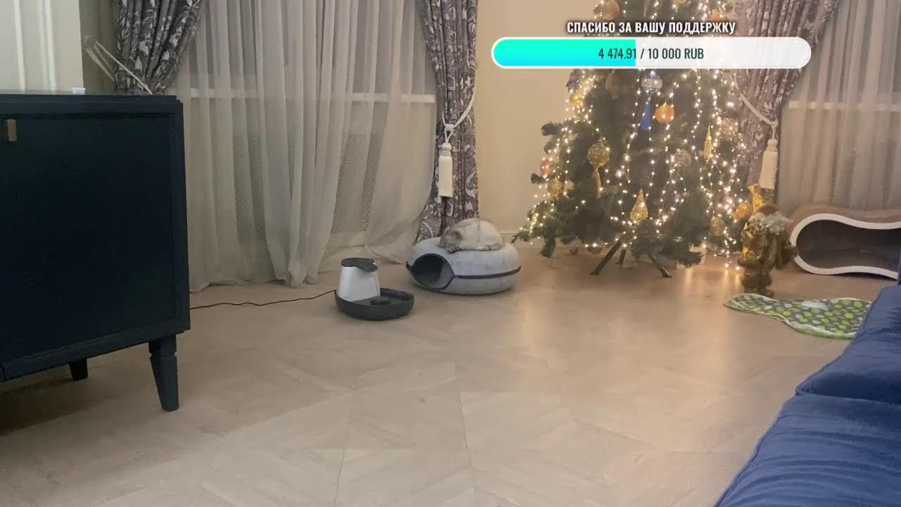 Накануне Рождества