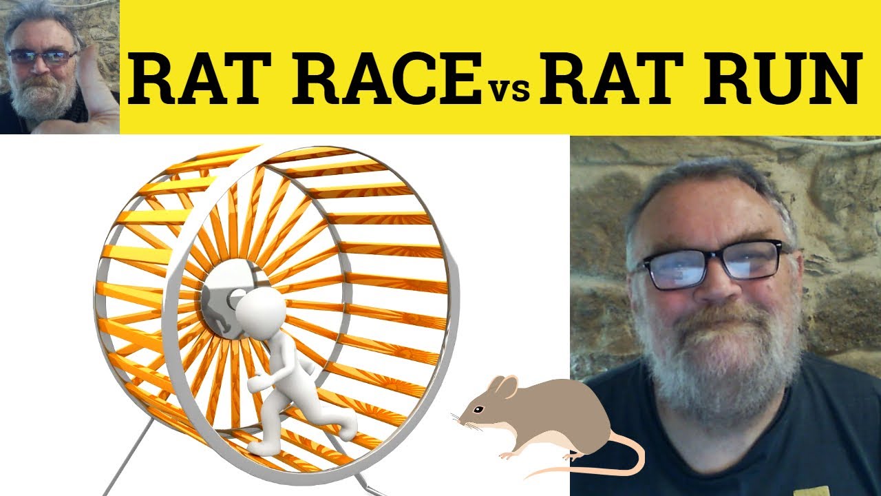 😎 Rat Race Meaning - Rat Run Means - Rat Race Defined - Rat Run Examples - Rat Race Definition