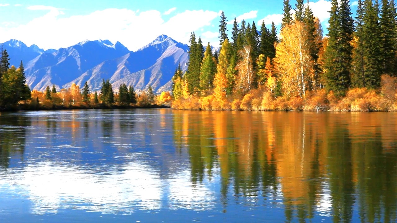 Calm Mountain River – 3 Hours of Serene Autumn Ambience