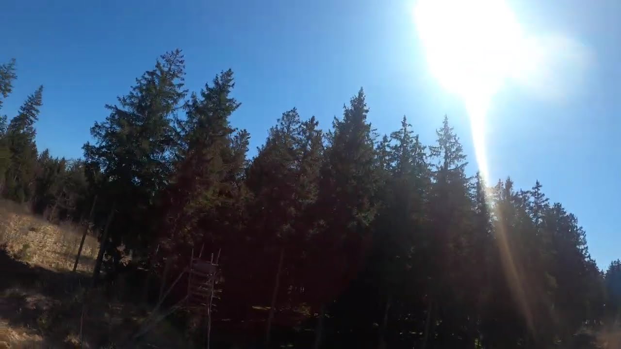 Hochstand und mehr bei schönstem Wetter 🌞