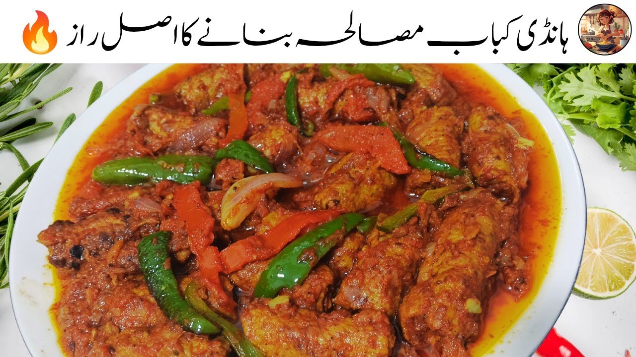 Seekh Kabab Masala Hanid Recipe l New Seekh Kabab l fatima roz cooking