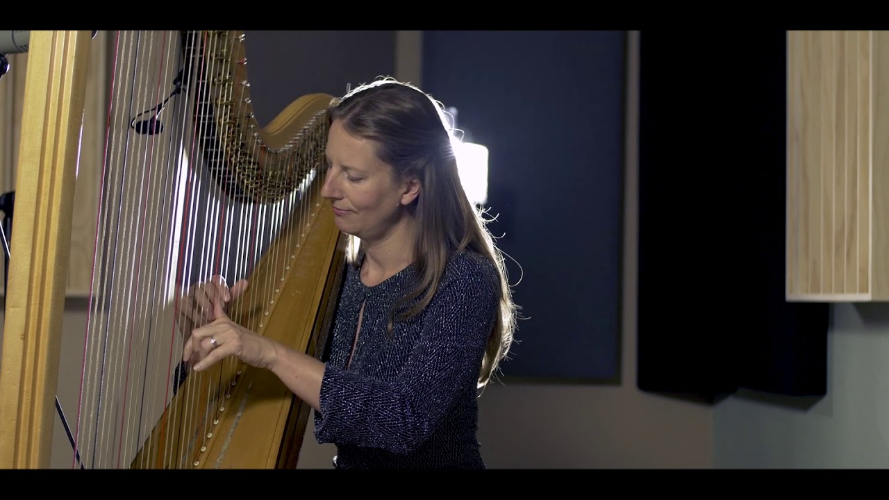 Sweet Child O Mine on Harp