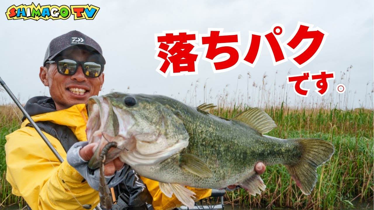 【バス釣り】唯一無二のフォールアクション！バンクハッカークロー！