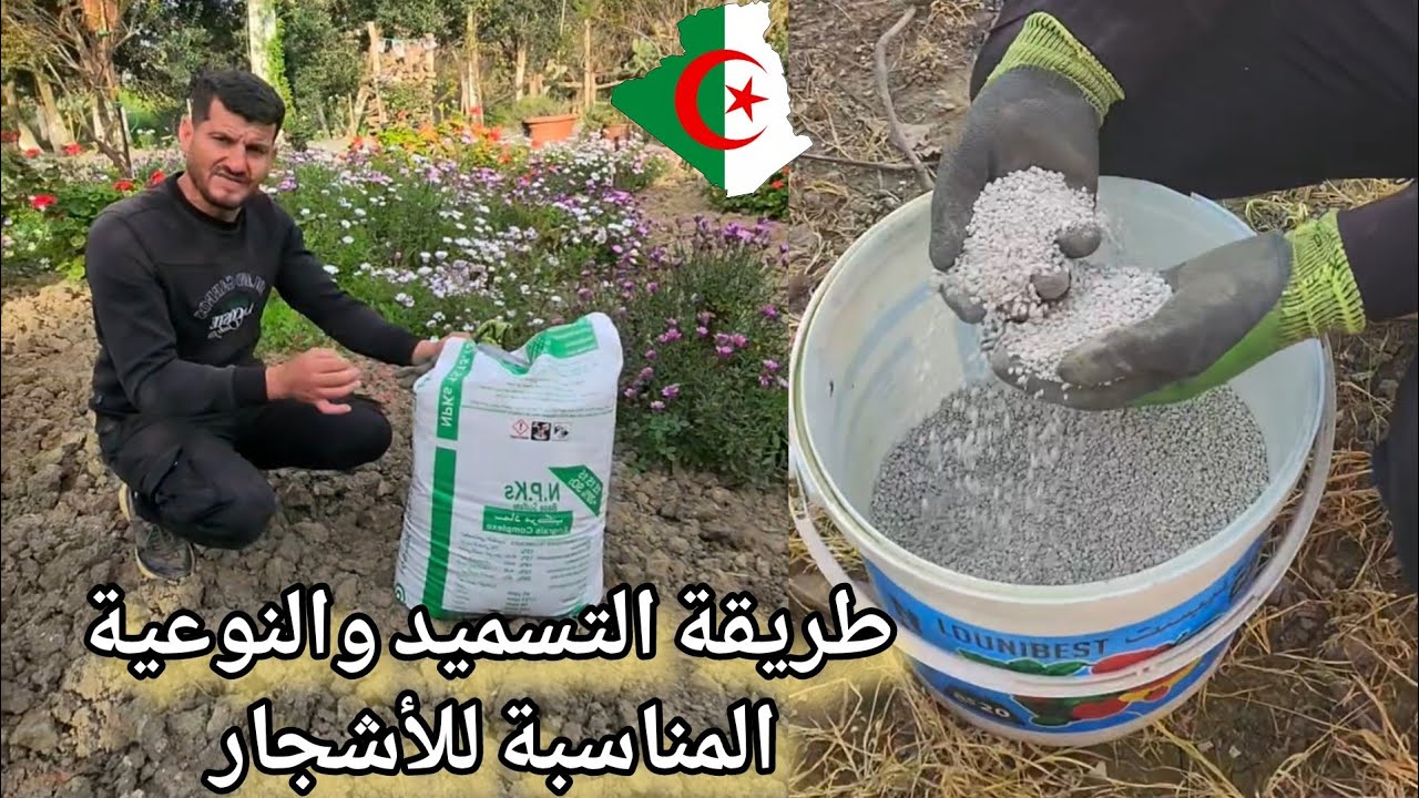 تعرف على نوع السماد المناسب الأشجار المثمرة والوقت وطريقة وضعه حول الشجرة  Méthode de fertilisation 