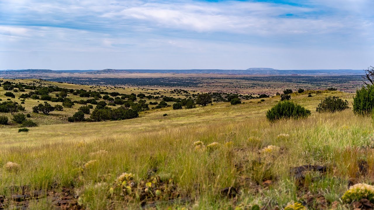 ***SOLD*** 40 Acres of Off-Grid Arizona Seclusion | Apache County, AZ | Ashbrook Land Company
