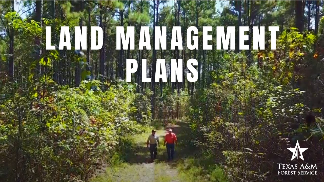 Land Management Plans - Working with Texas A&M Forest Service to Manage Private Lands