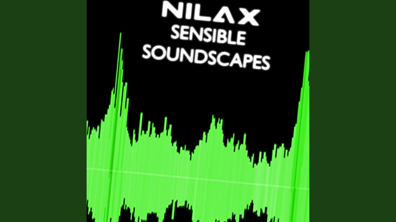 Sensible Soundscapes