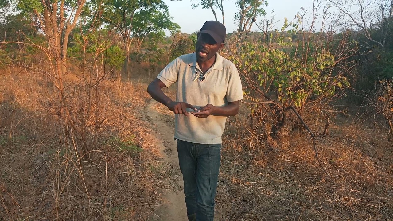 THINKING OF GETTING INTO FARMING and your are far?
